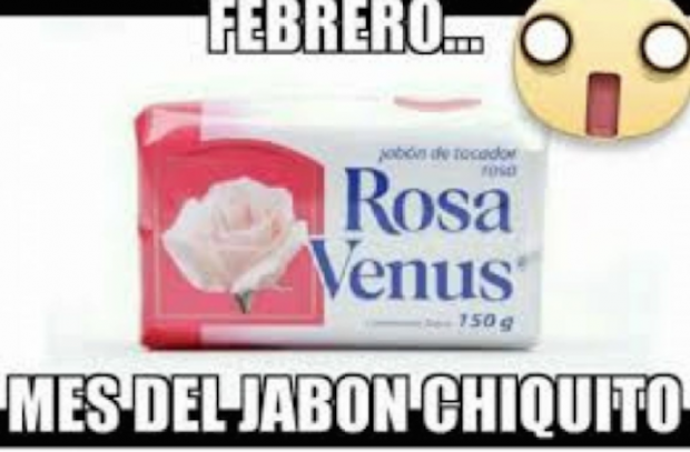 Resultado de imagen para rosa venus meme