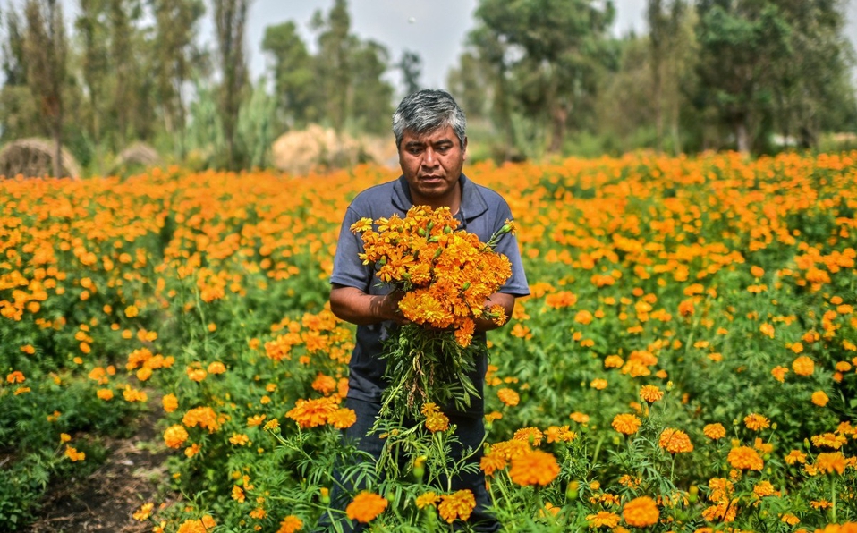 Seg&uacute;n las leyendas ind&iacute;genas, esos d&iacute;as los muertos vuelven al mundo de los vivos. (AFP)